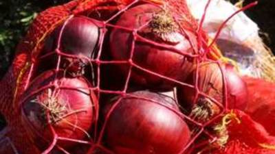 استئناف تصدير البصل إلى أسواق المملكة العربية السعودية 