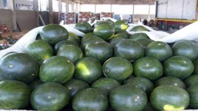 رئيس «البحوث الزراعية»عن شائعات «البطيخ المسرطن»: جميع المحاصيل بالأسواق خالية من المبيدات أو الكيماويات