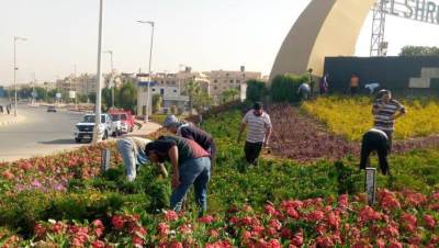 زراعة الزهور تغزو مداخل ومحاور الشروق ..  ورئيس الجهاز يعلن الاستمرار بجميع انحاء المدينه