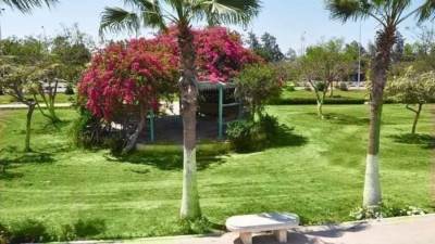 تكثيف صيانة المسطحات الخضراء والمتنزهات بالمدن الجديدة 