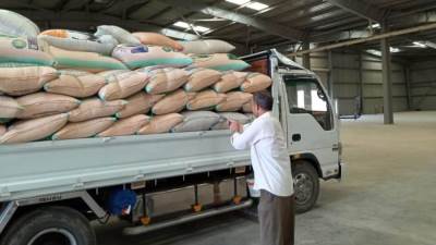 «التموين»: توريد  نحو 1.8 مليون طن قمح محلي حتي الآن و المستحقات خلال 48 ساعة 