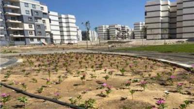 غدا..بدء تسليم أراضي بيت الوطن بالمرحلة التكميلية 2 بمدينة العبور 