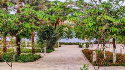 «الإسكان»:متابعة مستمرة لمشروعات الزراعة والتشجير وزيادة المسطحات الخضراء بعددٍ من المدن الجديدة