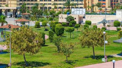 الإسكان: زراعة أكثر من مليون م2 مسطحات خضراء بدمياط الجديدة بجانب الحديقة المركزية