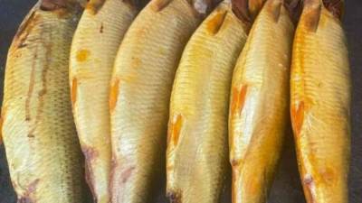 تراجع واردات مصر من أسماك الرنجة والتونة بنحو  25.2% خلال الربع الأول من 2024