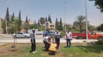 جهاز تنمية الشروق يعلن بدء زراعة 3500 شجره بعدة أحياء ومناطق بالمدينة
