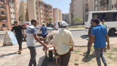 حملات لرفع الإشغالات وضبط مركبات " التوك التوك " المخالفة بمدن 6 أكتوبر والعاشر وبدر