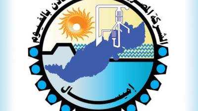 منح الشركة المصرية للأملاح والمعادن بالفيوم «إميسال» الرخصة الذهبية 