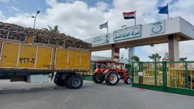 الدلتا للسكر تسجل 1.2 مليار جنيه أرباحا في 9 أشهر بانخفاض 18%