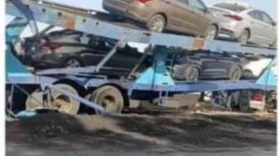 «حماية المستهلك»: عدم التعامل على بعض طرازات سيارات "شيري/هيونداي" بالسوق المصرية