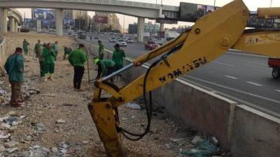 بدء مشروع  تشجير الطريق الدائري بمحافظات القاهرة الكبري