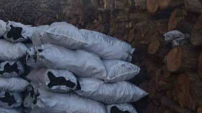 حملة مكبرة لإزالة مكامير الفحم المخالفة بدمياط الجديدة