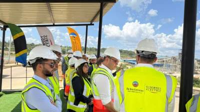 الشربيني: سد ومحطة كهرباء جوليوس نيريرى بتنزانيا وفرا فرص عمل لـ 1961 عاملا