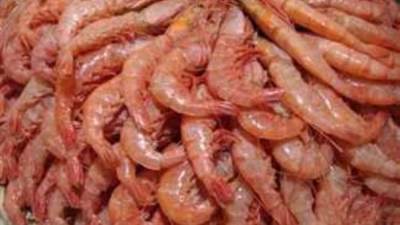 مصر تستورد منتجات أسماك بقيمة 354.5 مليون دولار خلال 2024