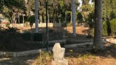 الحكومة تنفي قطع الأشجار النادرة بحديقة المسلة التراثية بالزمالك 