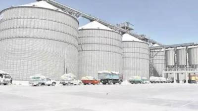 «مطاحن شرق الدلتا» تعتزم بيع 3 مواقع تابعة للشركة  بمحافظة شمال سيناء