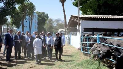 «مدبولي» يوجه بطرح محطة الثروة الحيوانية بأسيوط للقطاع الخاص لإدارتها وتشغيلها بكفاءة