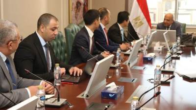 وزير الكهرباء يبحث مع «هواوي الصينية» التعاون في مجالات الطاقة المتجددة