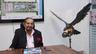 «ألارينوفا للاستثمار العقاري والسياحي» تبدأ عملها بالسوق العقاري المصري برؤية جديدة للعمارة المستدامة		 