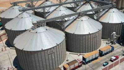 الحكومة: استمرار توريد القمح بشكل منتظم وسط إقبال مستمر من المزارعين