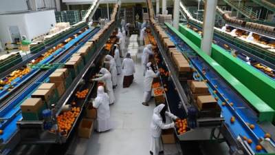 منح الرخصة الذهبية لشركة «الأمير للحاصلات الزراعية»  لإقامة 3 مصانع بمدينة السادات