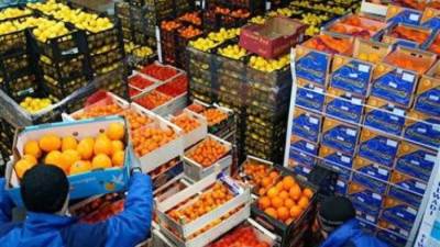 مصر تحقق رقمًا قياسيًا جديدًا في صادراتها الزراعية وتنجح في فتح 8 أسواق جديدة حول العالم