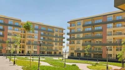 جهاز مدينة 6 أكتوبر يواصل أعمال الزراعة  بمشروع «صبا» السكني