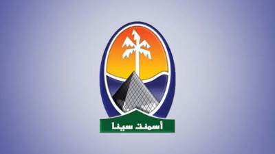 «الرقابة المالية» تدرس عرض الشراء الإجباري على أسهم شركة أسمنت سيناء