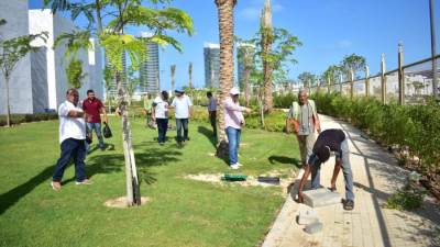 مدينة العلمين الجديدة تطلق حملة موسعة لرفع كفاءة المظهر الحضاري بالمدينة