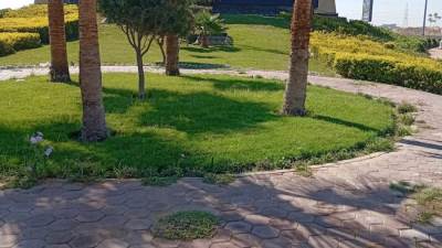 مدخل الشروق 2 بالسويس يشهد أعمال تجميلية وصيانة لرفع مستوى الخدمات