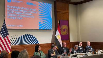 وزير المالية:الاقتصاد المصري ينمو بخطى جيدة ومشجعة