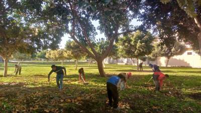 استعدادًا لشم النسيم.. «الشروق» تكثف أعمال تطوير المسطحات الخضراء