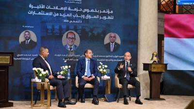 محمد فريد: نعمل على تبسيط إجراءات الاستثمار وتسريع تأسيس الشركات رقميًا