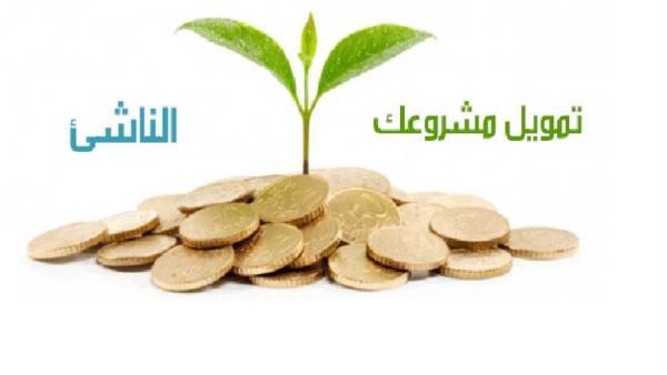 قروض المشروعات الصغيرة